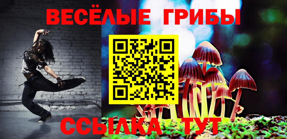 Псилоцибиновые грибы мицелий Электросталь